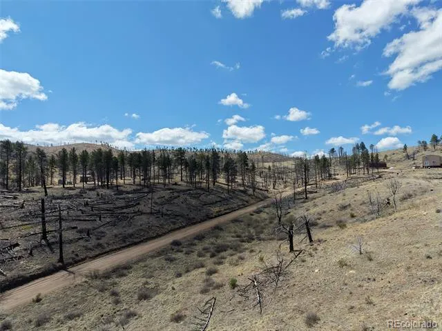 Lewis Smith Road Fort Garland, CO 81133