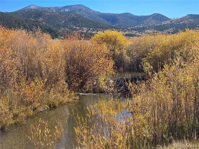 Lot 7542 Indian Creek Road Fort Garland, CO 81133