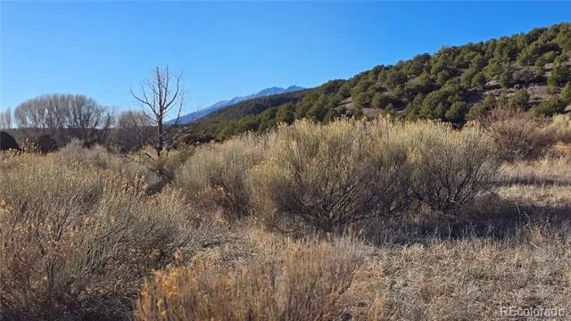Lot 7542 Indian Creek Road Fort Garland, CO 81133