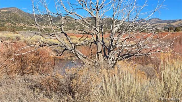 Lot 7542 Indian Creek Road Fort Garland, CO 81133