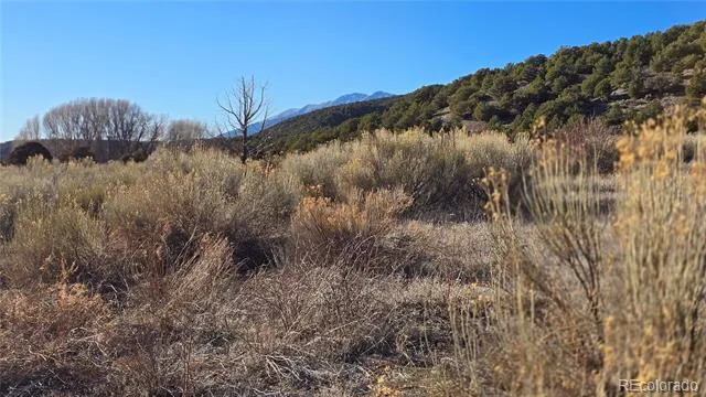 Lot 7542 Indian Creek Road Fort Garland, CO 81133