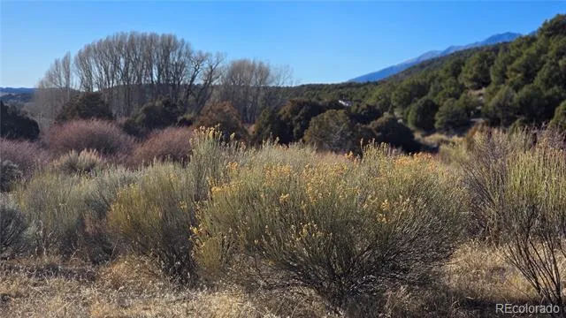 Lot 7542 Indian Creek Road Fort Garland, CO 81133
