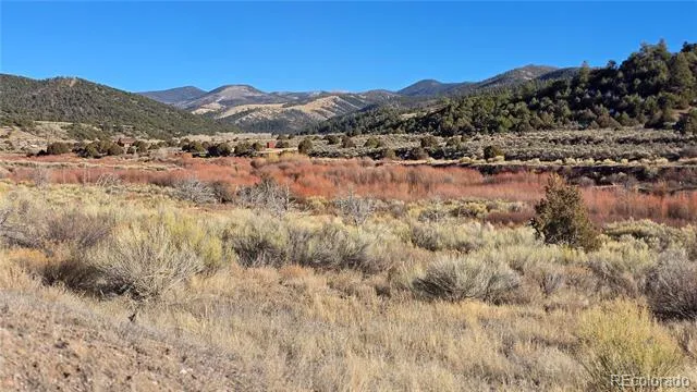 Lot 7542 Indian Creek Road Fort Garland, CO 81133