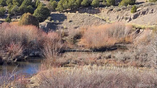 Lot 7542 Indian Creek Road Fort Garland, CO 81133