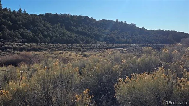 Lot 7542 Indian Creek Road Fort Garland, CO 81133