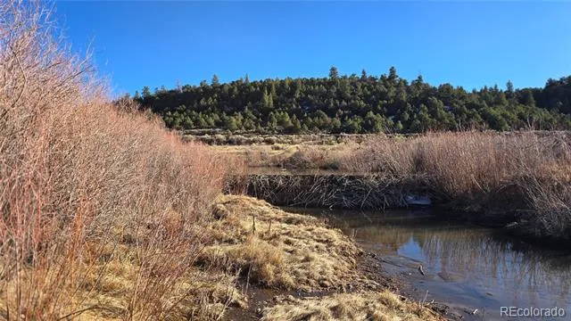 Lot 7542 Indian Creek Road Fort Garland, CO 81133