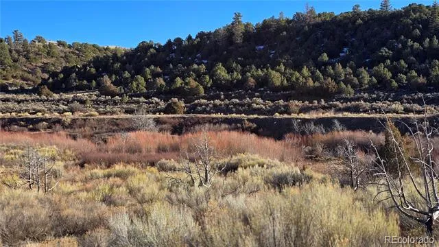 Lot 7542 Indian Creek Road Fort Garland, CO 81133