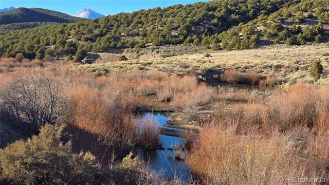 Lot 7542 Indian Creek Road Fort Garland, CO 81133