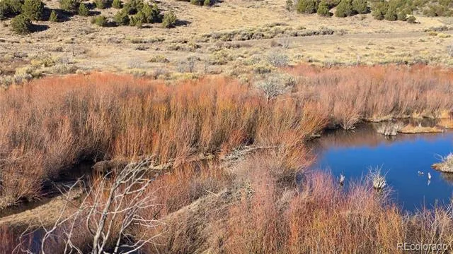 Lot 7542 Indian Creek Road Fort Garland, CO 81133