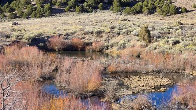 Lot 7542 Indian Creek Road Fort Garland, CO 81133