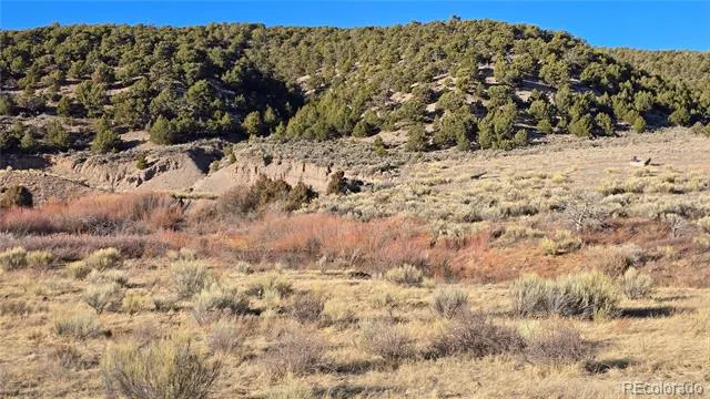 Lot 7542 Indian Creek Road Fort Garland, CO 81133