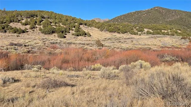 Lot 7542 Indian Creek Road Fort Garland, CO 81133
