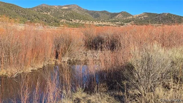 Lot 7542 Indian Creek Road Fort Garland, CO 81133