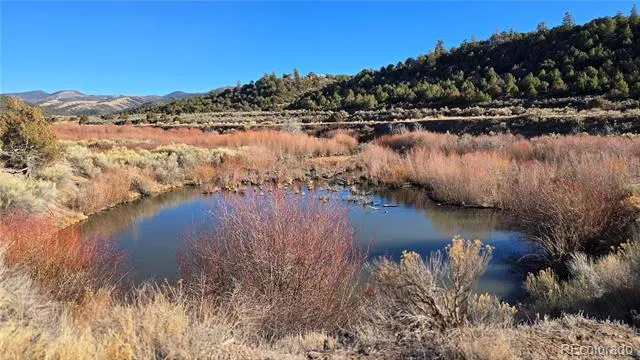 Lot 7542 Indian Creek Road Fort Garland, CO 81133