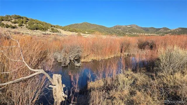Lot 7542 Indian Creek Road Fort Garland, CO 81133