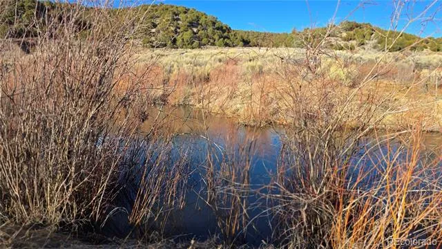 Lot 7542 Indian Creek Road Fort Garland, CO 81133