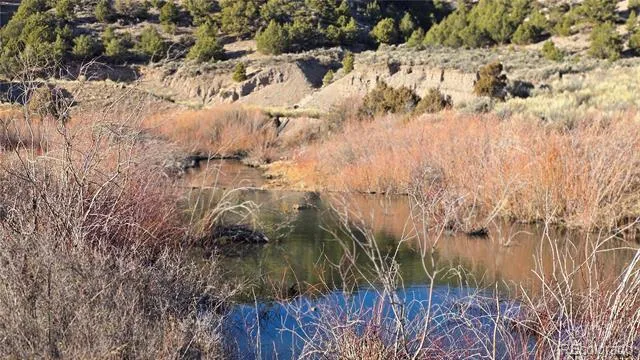 Lot 7542 Indian Creek Road Fort Garland, CO 81133