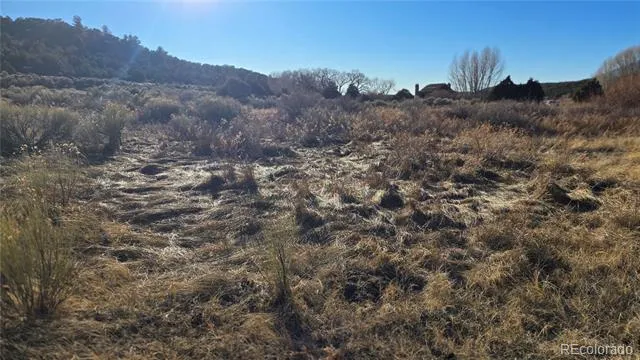 Lot 7542 Indian Creek Road Fort Garland, CO 81133