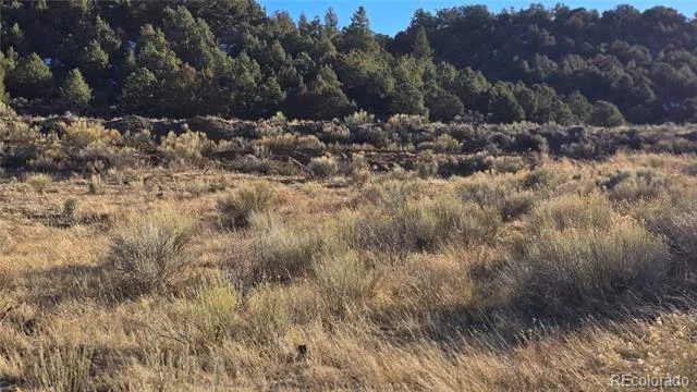 Lot 7542 Indian Creek Road Fort Garland, CO 81133