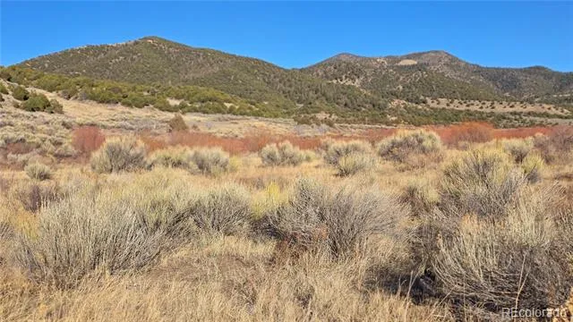 Lot 7542 Indian Creek Road Fort Garland, CO 81133
