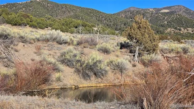 Lot 7542 Indian Creek Road Fort Garland, CO 81133