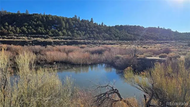 Lot 7542 Indian Creek Road Fort Garland, CO 81133