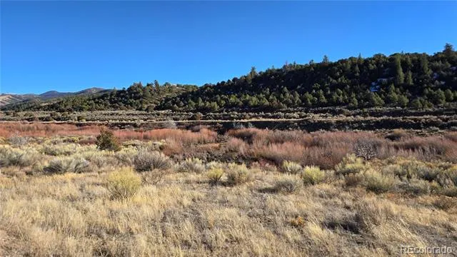 Lot 7542 Indian Creek Road Fort Garland, CO 81133