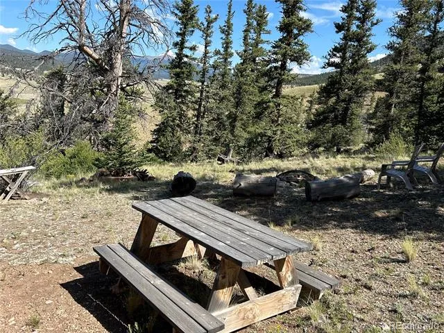 HWY 285/24 Buena Vista, CO 81211