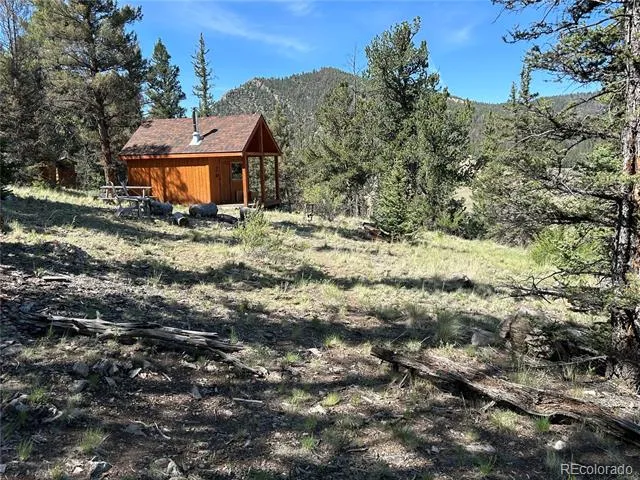 HWY 285/24 Buena Vista, CO 81211