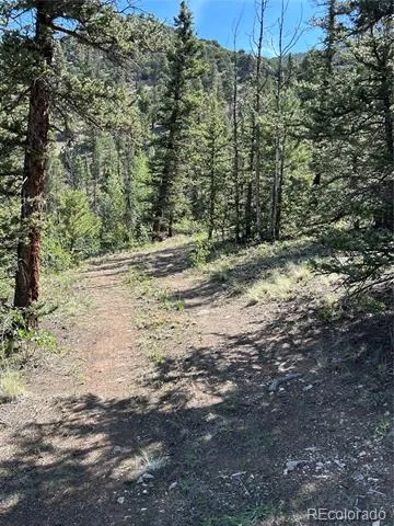 HWY 285/24 Buena Vista, CO 81211