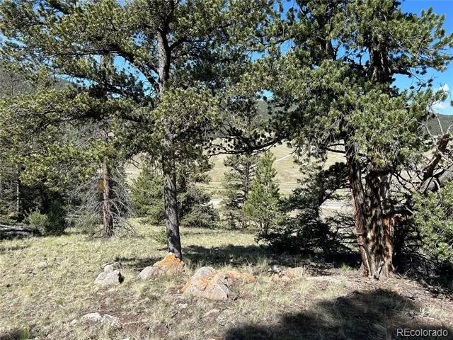 HWY 285/24 Buena Vista, CO 81211
