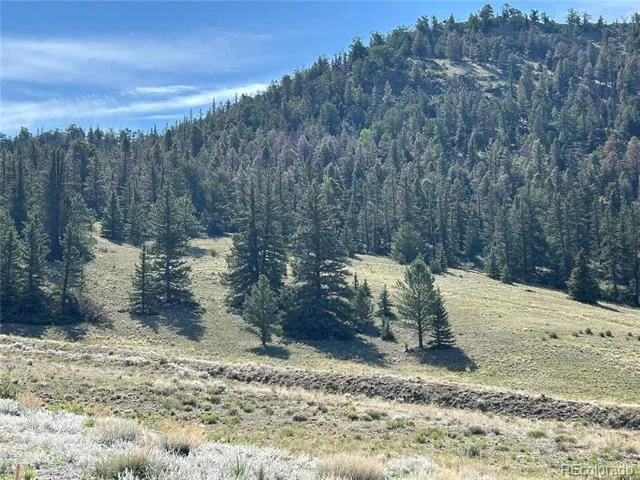 HWY 285/24 Buena Vista, CO 81211