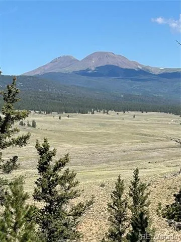 HWY 285/24 Buena Vista, CO 81211