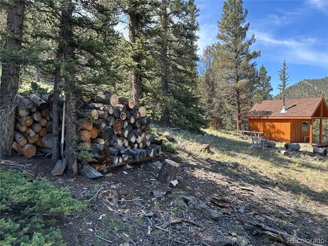 HWY 285/24 Buena Vista, CO 81211