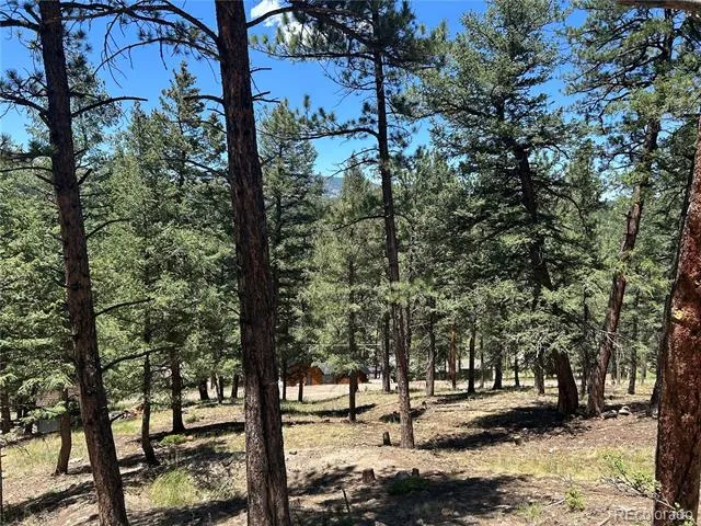 00 Pine Road Evergreen, CO 80439