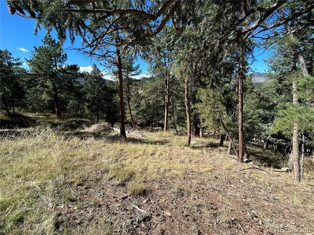 00 Pine Road Evergreen, CO 80439