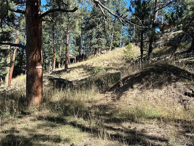 00 Pine Road Evergreen, CO 80439