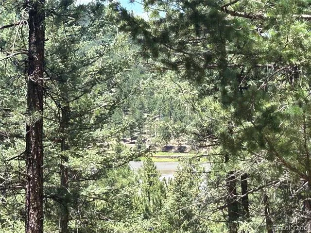 00 Pine Road Evergreen, CO 80439