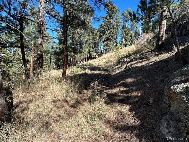 00 Pine Road Evergreen, CO 80439