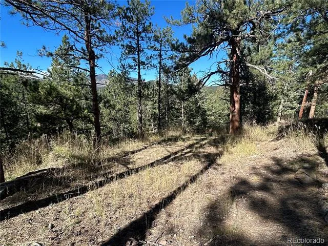00 Pine Road Evergreen, CO 80439