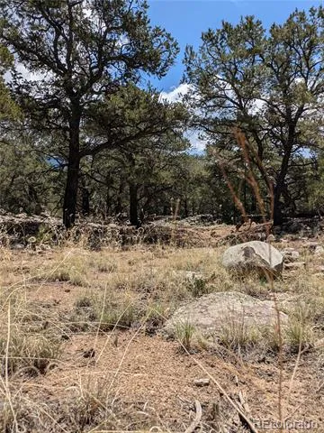 3729 Enchanted Way Crestone, CO 81131