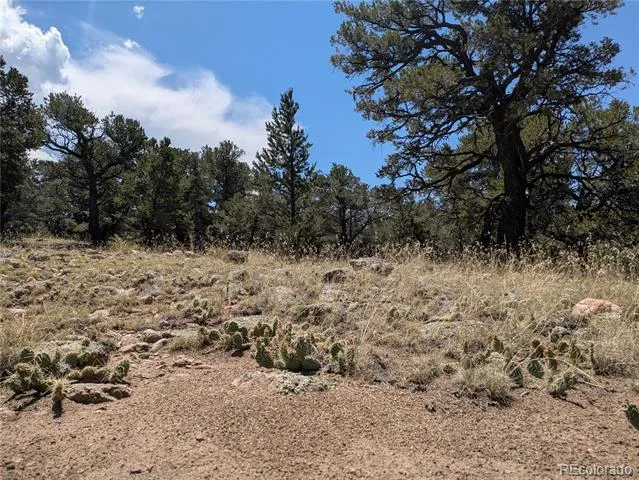 3729 Enchanted Way Crestone, CO 81131