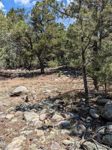 3729 Enchanted Way Crestone, CO 81131