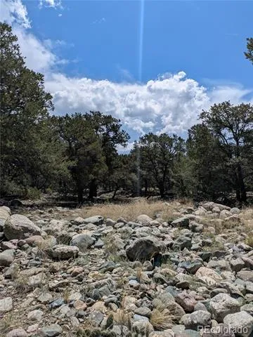 3729 Enchanted Way Crestone, CO 81131