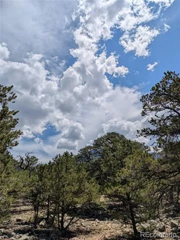 3729 Enchanted Way Crestone, CO 81131