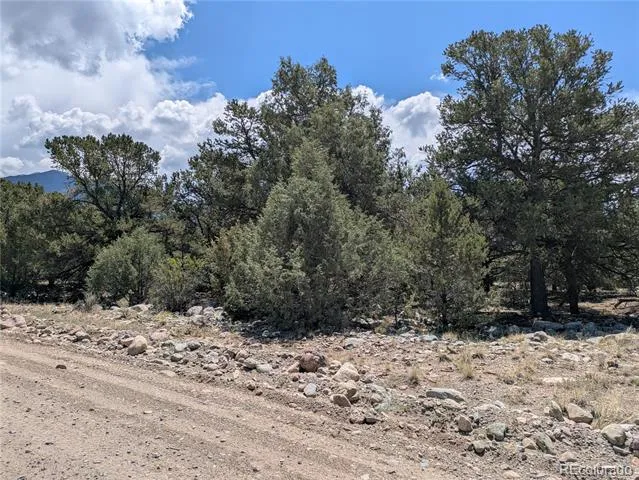 3729 Enchanted Way Crestone, CO 81131