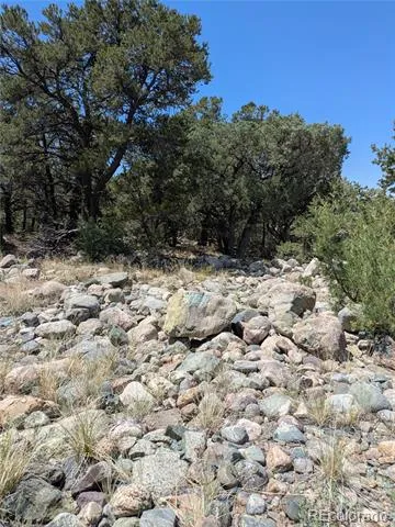 3729 Enchanted Way Crestone, CO 81131
