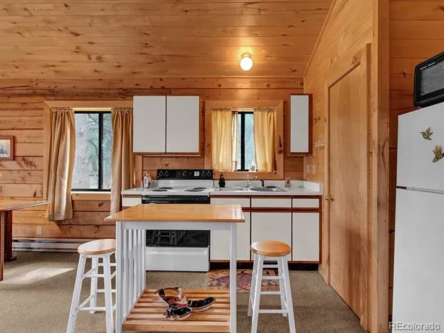 1462 Pulver Road Lake George, CO 80827