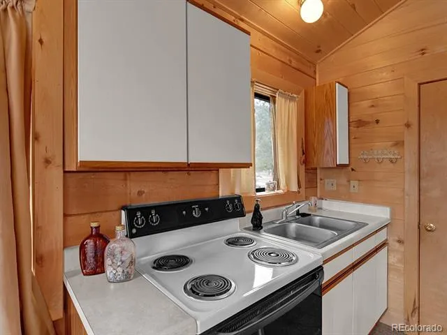 1462 Pulver Road Lake George, CO 80827