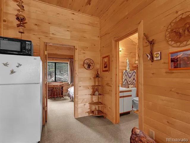 1462 Pulver Road Lake George, CO 80827